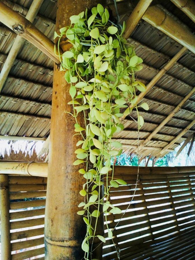 Baan Jing Jai Homestay Resort Lanta Ko Lanta المظهر الخارجي الصورة