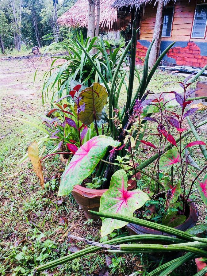 Baan Jing Jai Homestay Resort Lanta Ko Lanta المظهر الخارجي الصورة